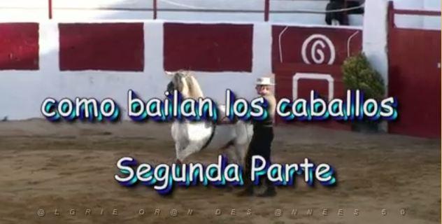 070 Villanueva de Alcardete, como bailan los caballos segunda parte.JPG